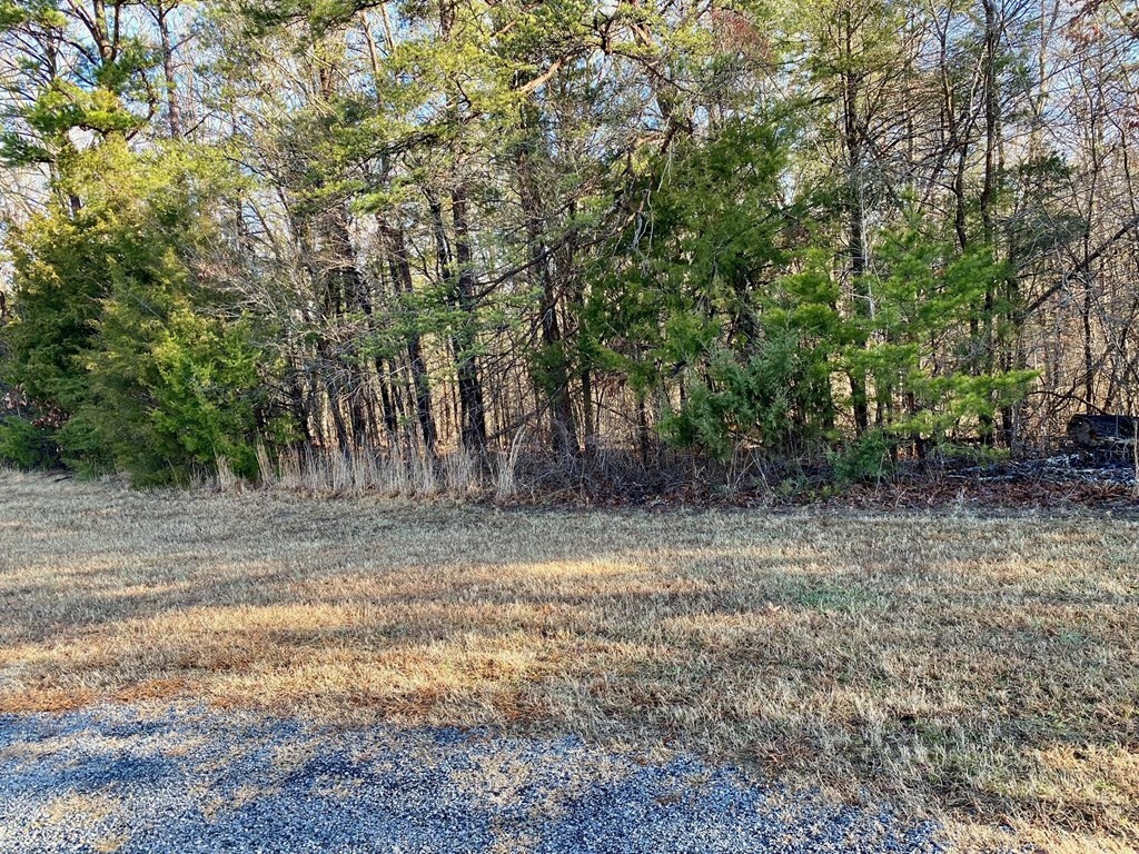 Property Photo:  Lot 19 Osprey Lane  VA 24529 