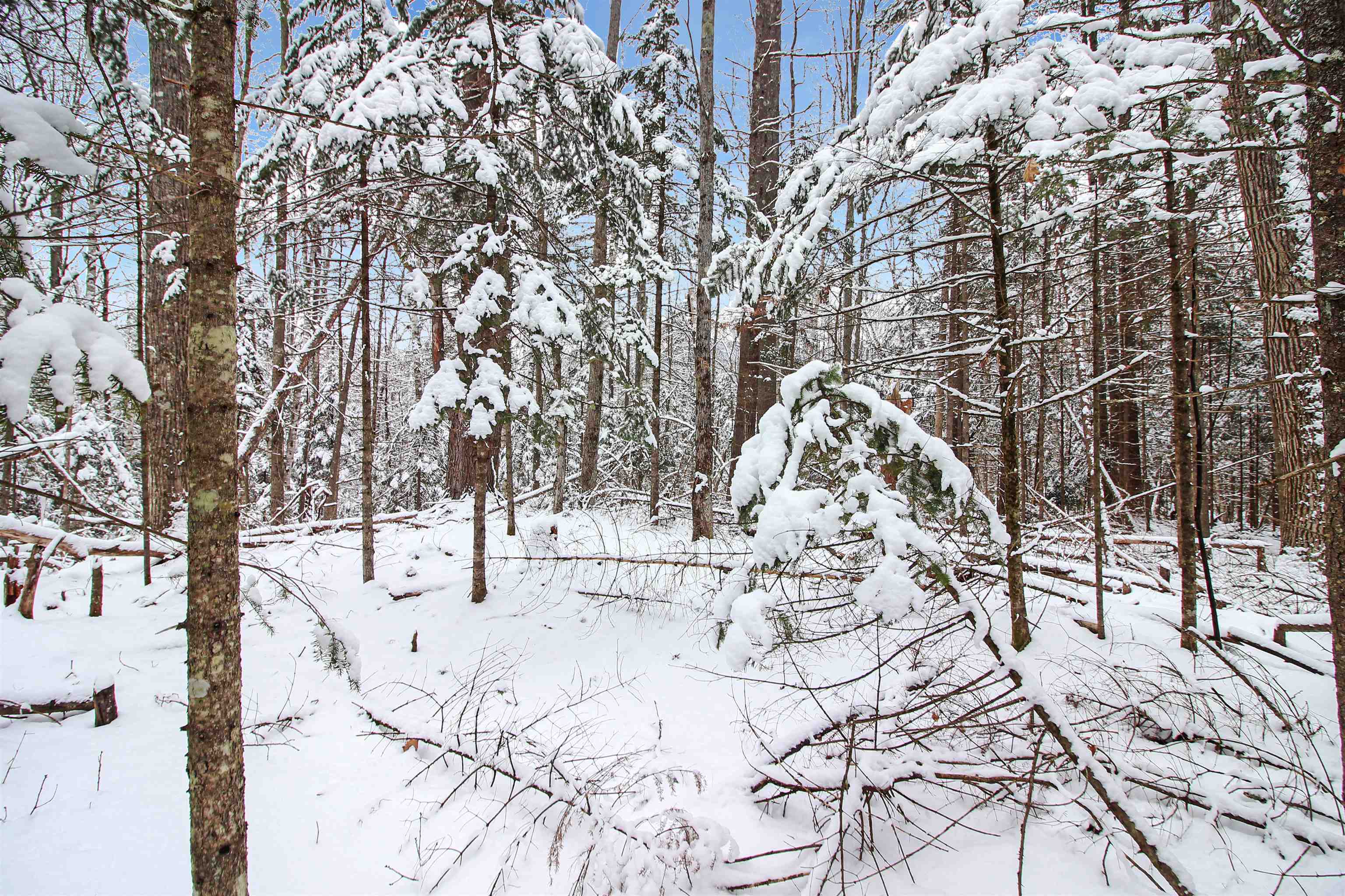 Property Photo:  204-269 King Drive  NH 03784 
