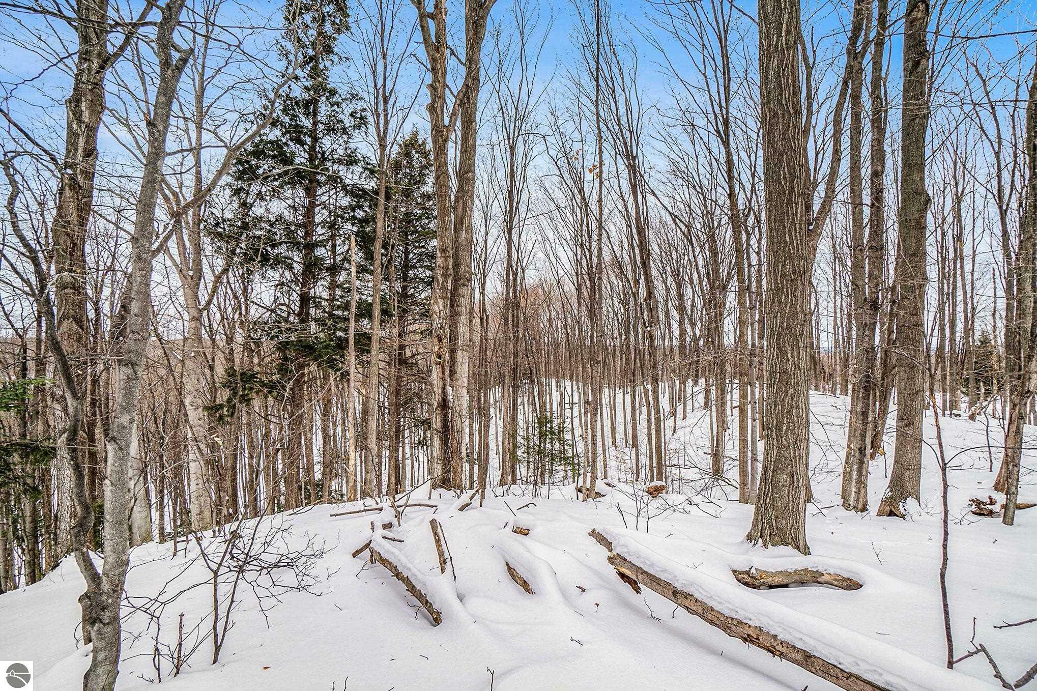 Property Photo:  1180 Forrester Road  MI 49635 