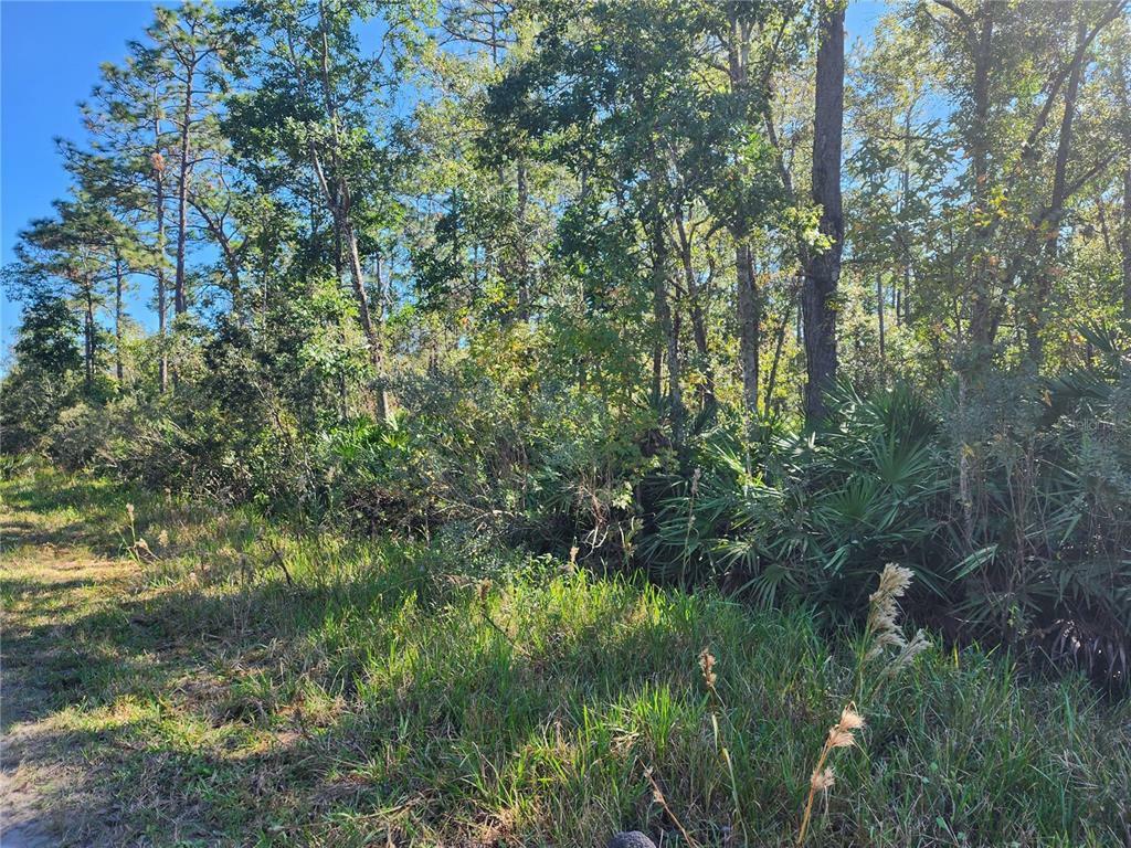 Property Photo:  Old River Trail  FL 32766 