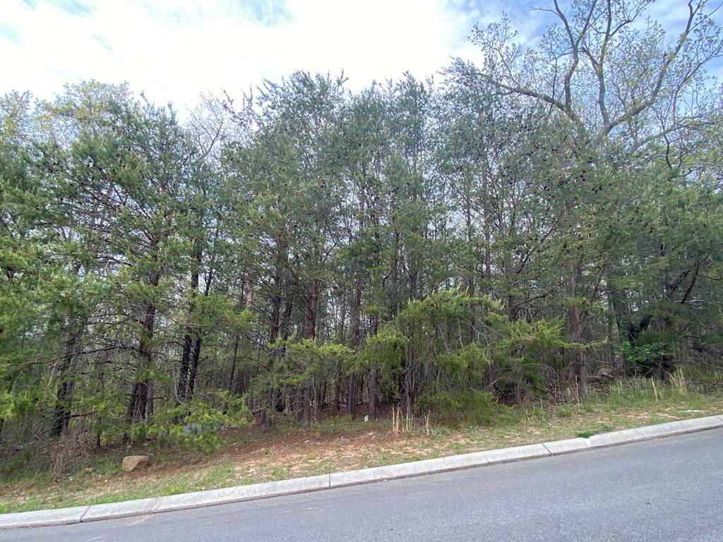 Property Photo:  0 Battleline Drive  GA 30740 