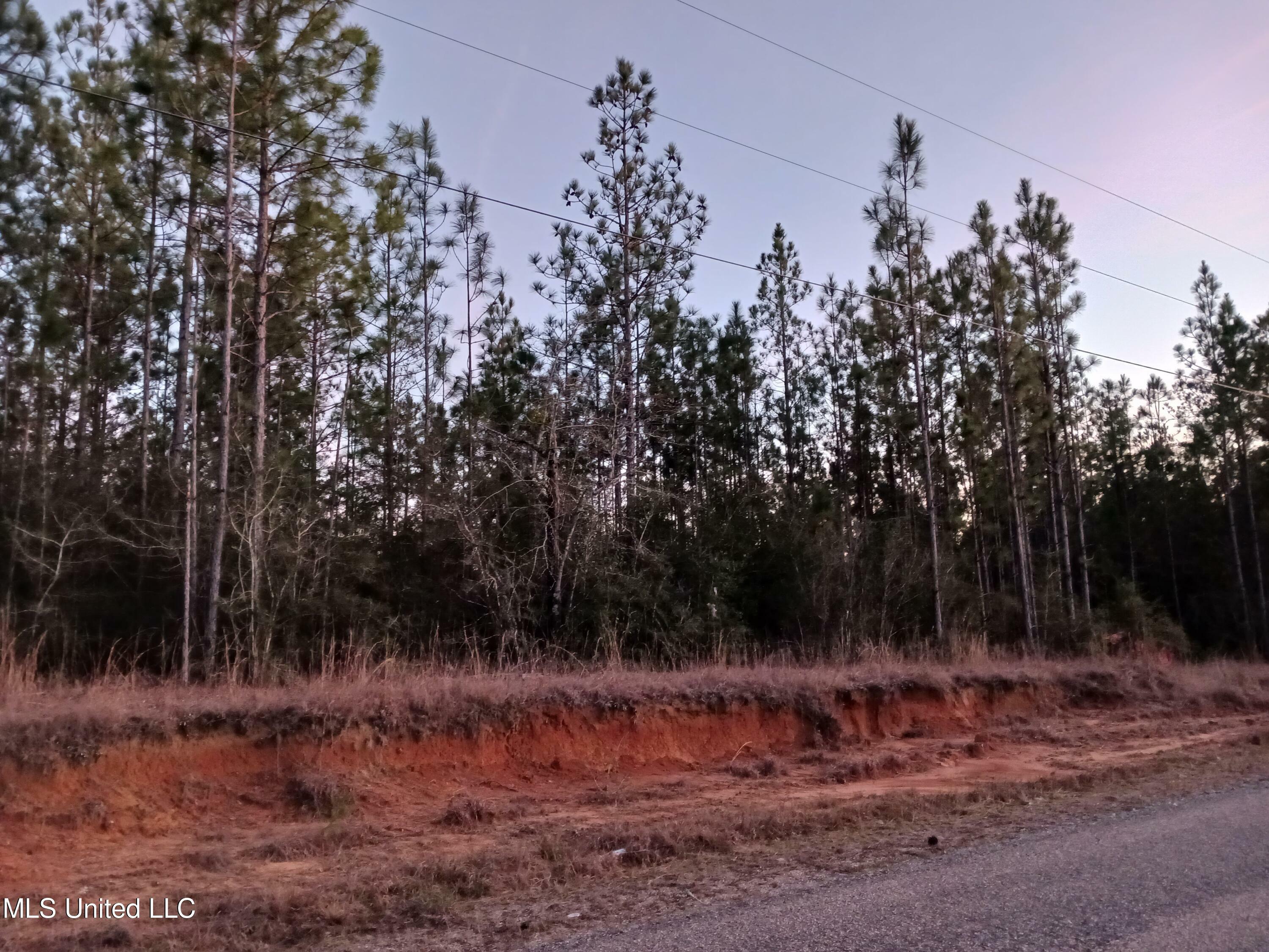 Property Photo:  0 McHenry Riceville Road  MS 39574 