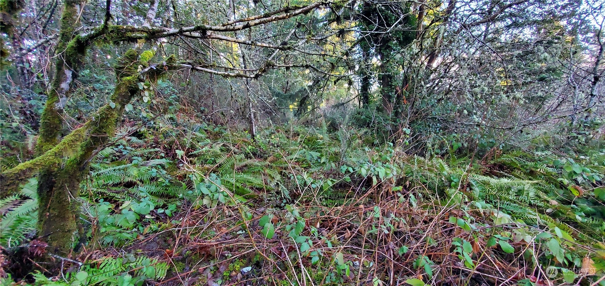 Property Photo: 1 Sand Dollar Road W WA 98312