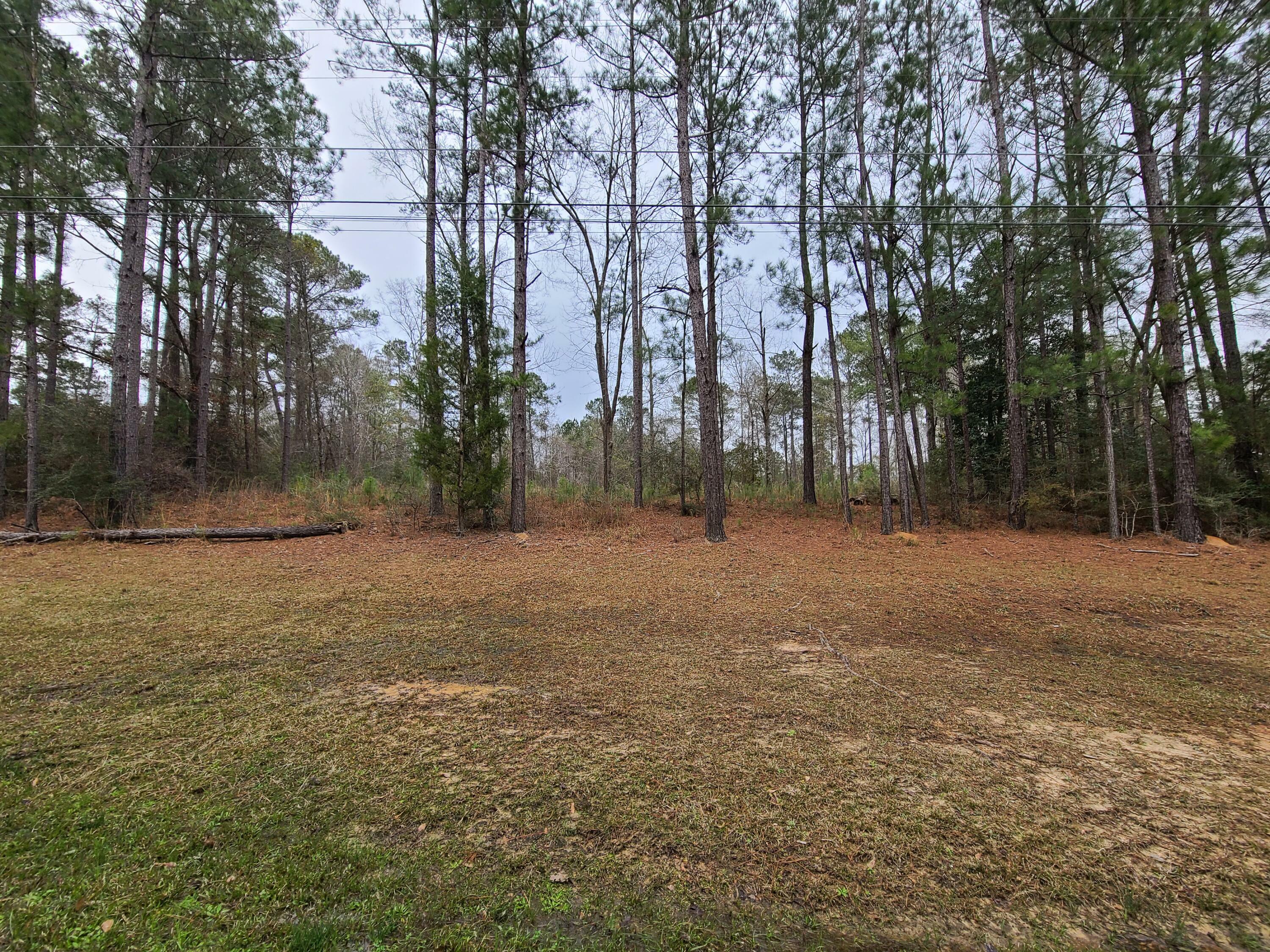 Property Photo:  222 Jervis Mims Rd.  MS 39401 