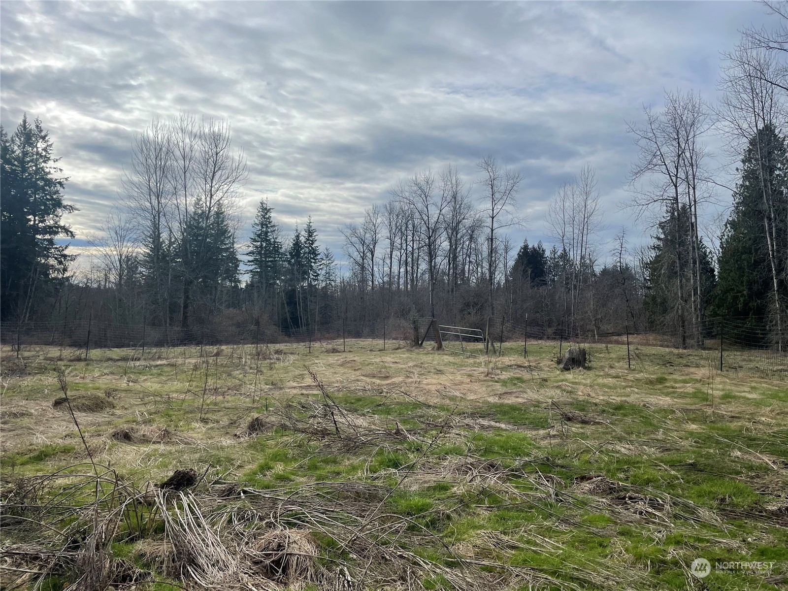 Property Photo:  12232 207th Avenue SE  WA 98290 