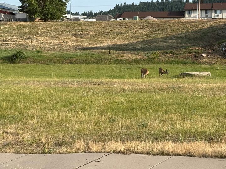 Property Photo: Lot 23 Timberwolf Estates MT 59860