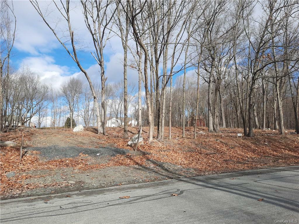 Property Photo:  52 Fairway Drive  NY 10933 