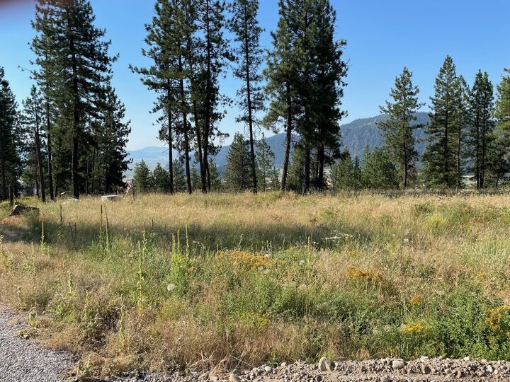 708 Palmer Ln  Chewelah WA 99109 photo