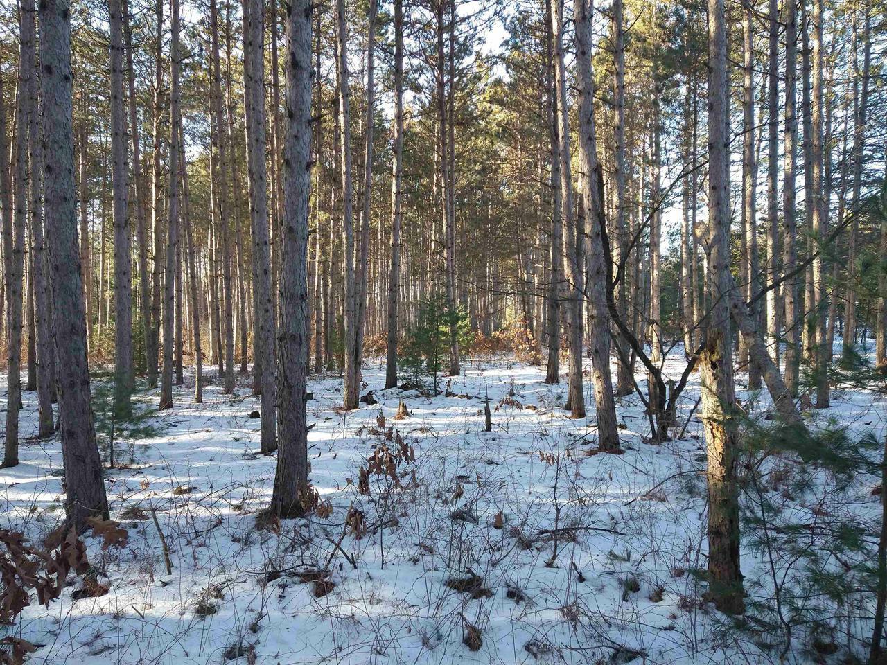 Property Photo:  Lot 30 West 8th Ct  WI 53965 