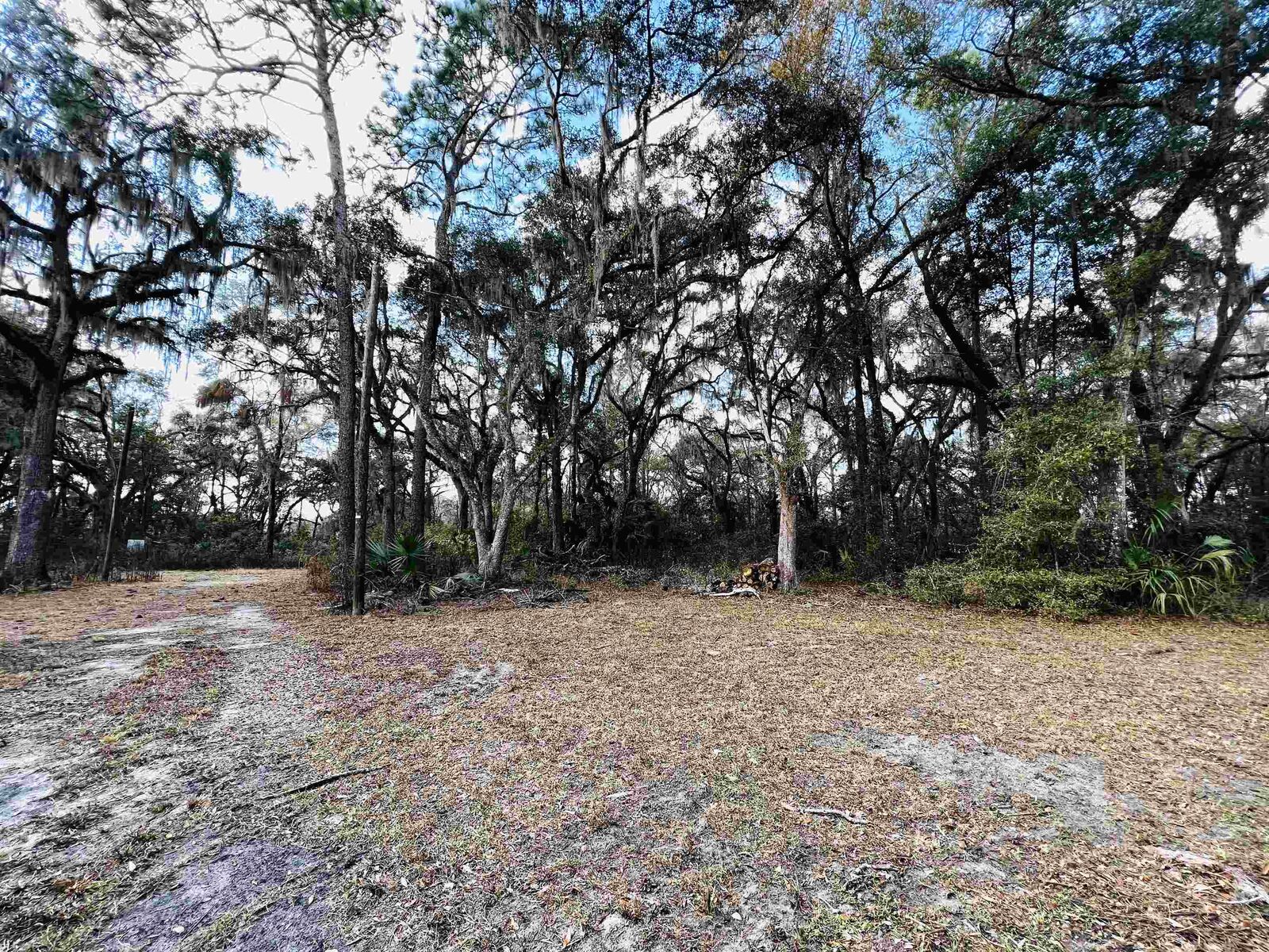 Property Photo:  2401 Dean Road  FL 32348-00 