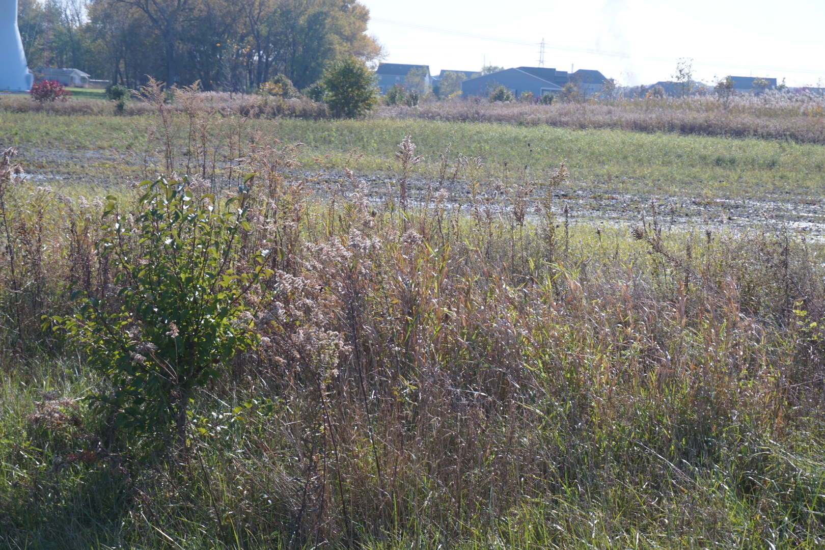 Property Photo:  Lot8 And Lot9 US Rte 6 Ridge Road  IL 60410 