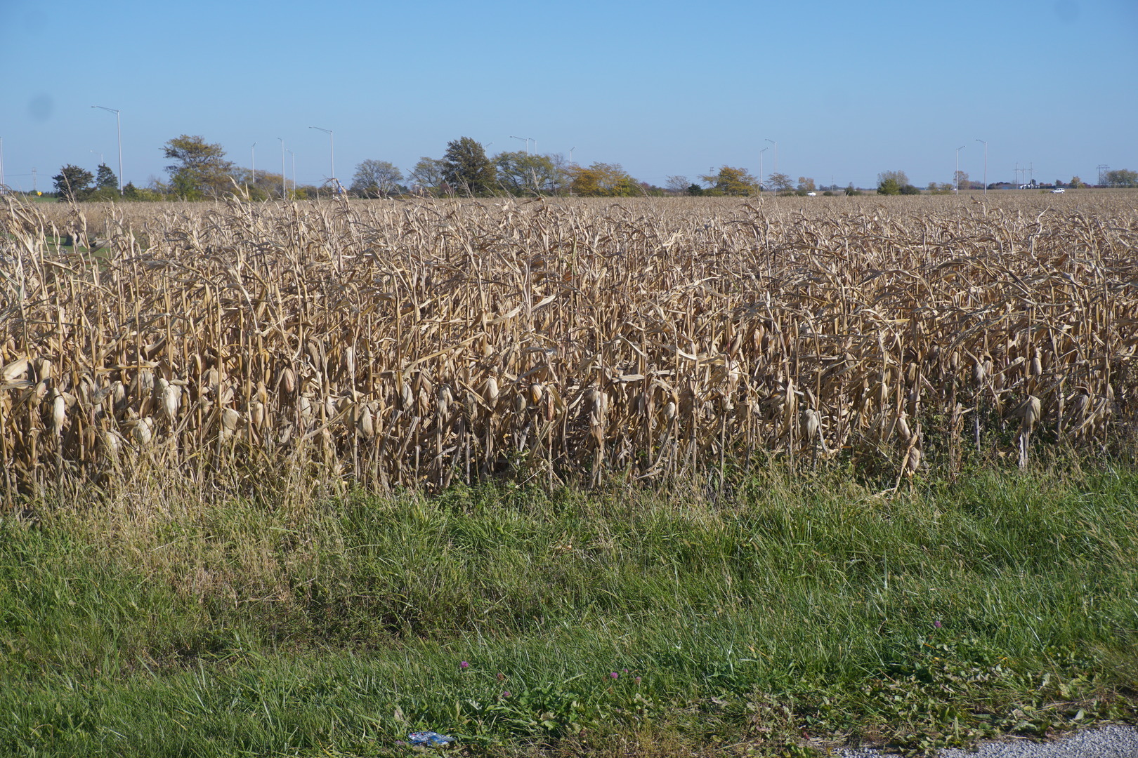 Property Photo:  Sec7 Twp26n R10e Road  IL 60938 