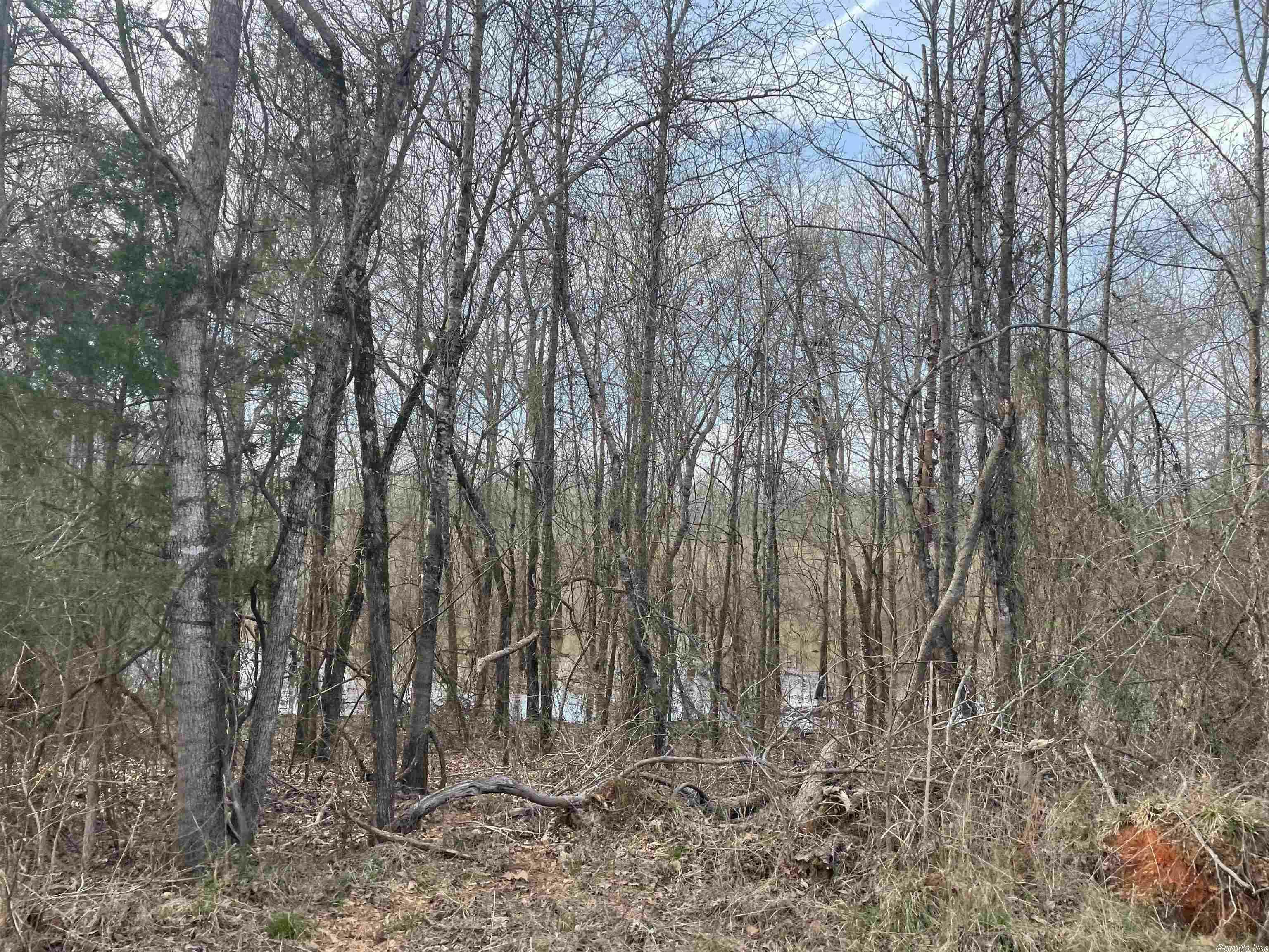 Property Photo: 0000 Acklin Gap Road AR 72032
