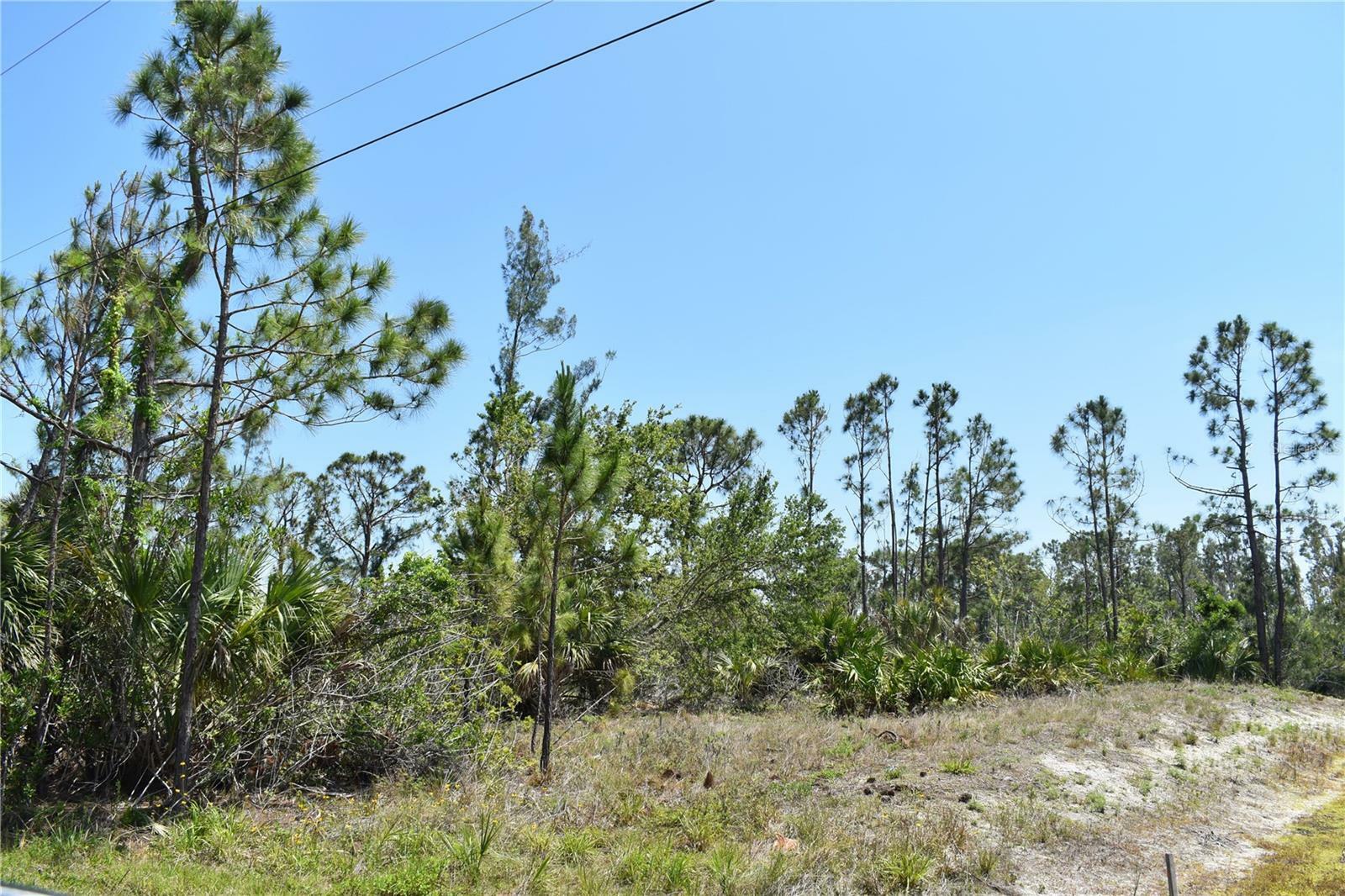 Property Photo: 15189 Amsterdam Avenue FL 33981