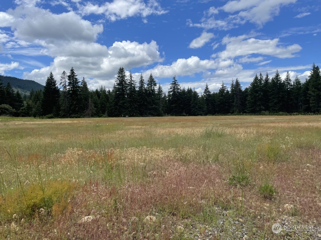 Property Photo:  1 Nka Nelson Siding Road  WA 98922 