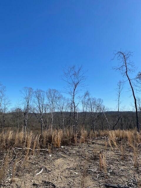 Property Photo:  Lot 12 River Road  TN 37322 