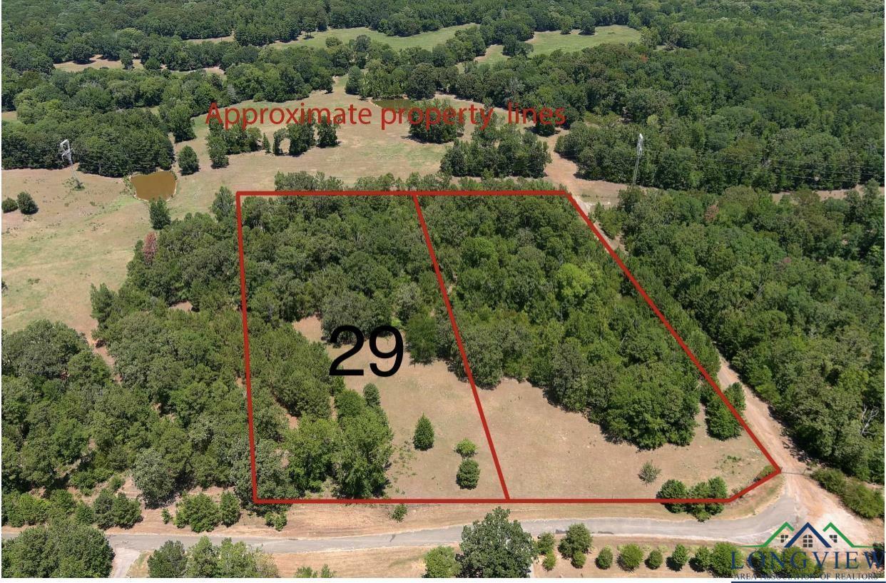 Property Photo:  Tbd Frances Lane Lot 29  TX 75640 