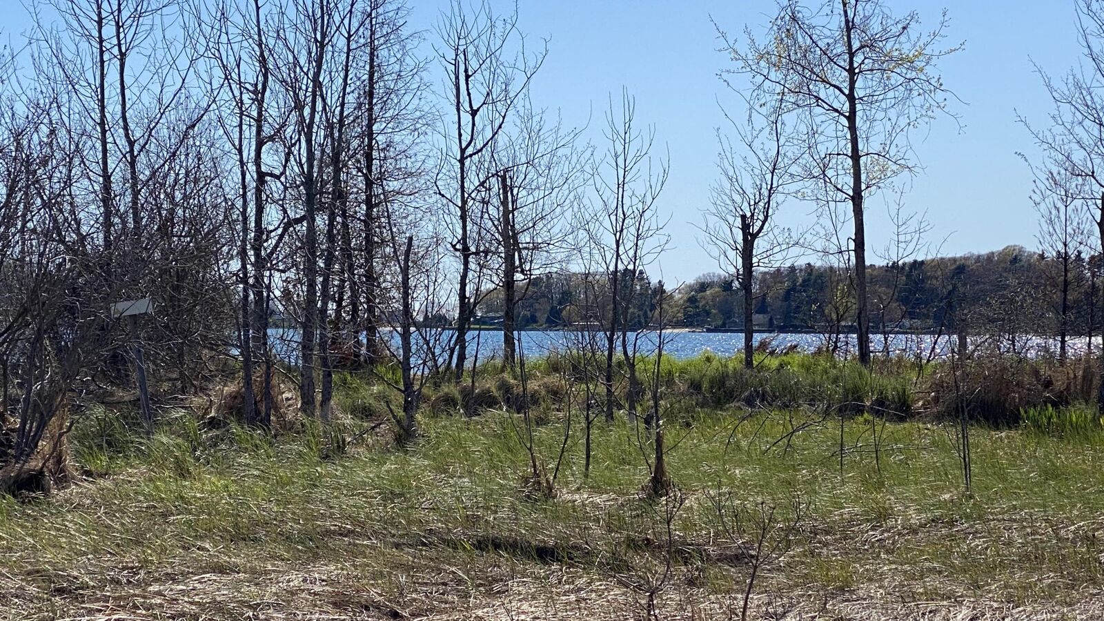 Property Photo: Fairway MI 49675