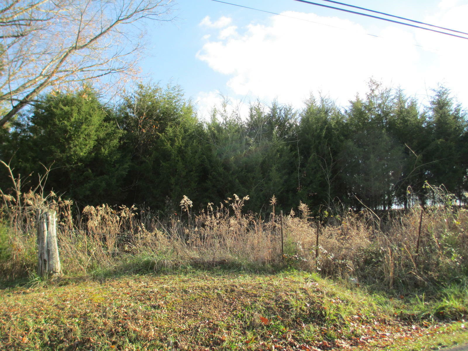 Property Photo:  00 Mohawk Creek Road  TN 37809 