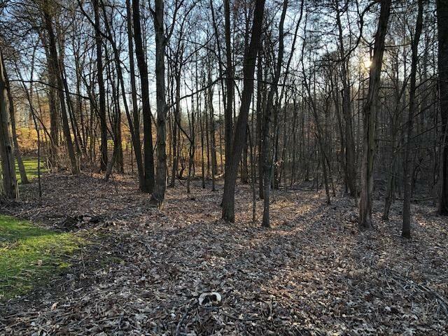 Tbd Allison Court  Piney Flats TN 37686 photo