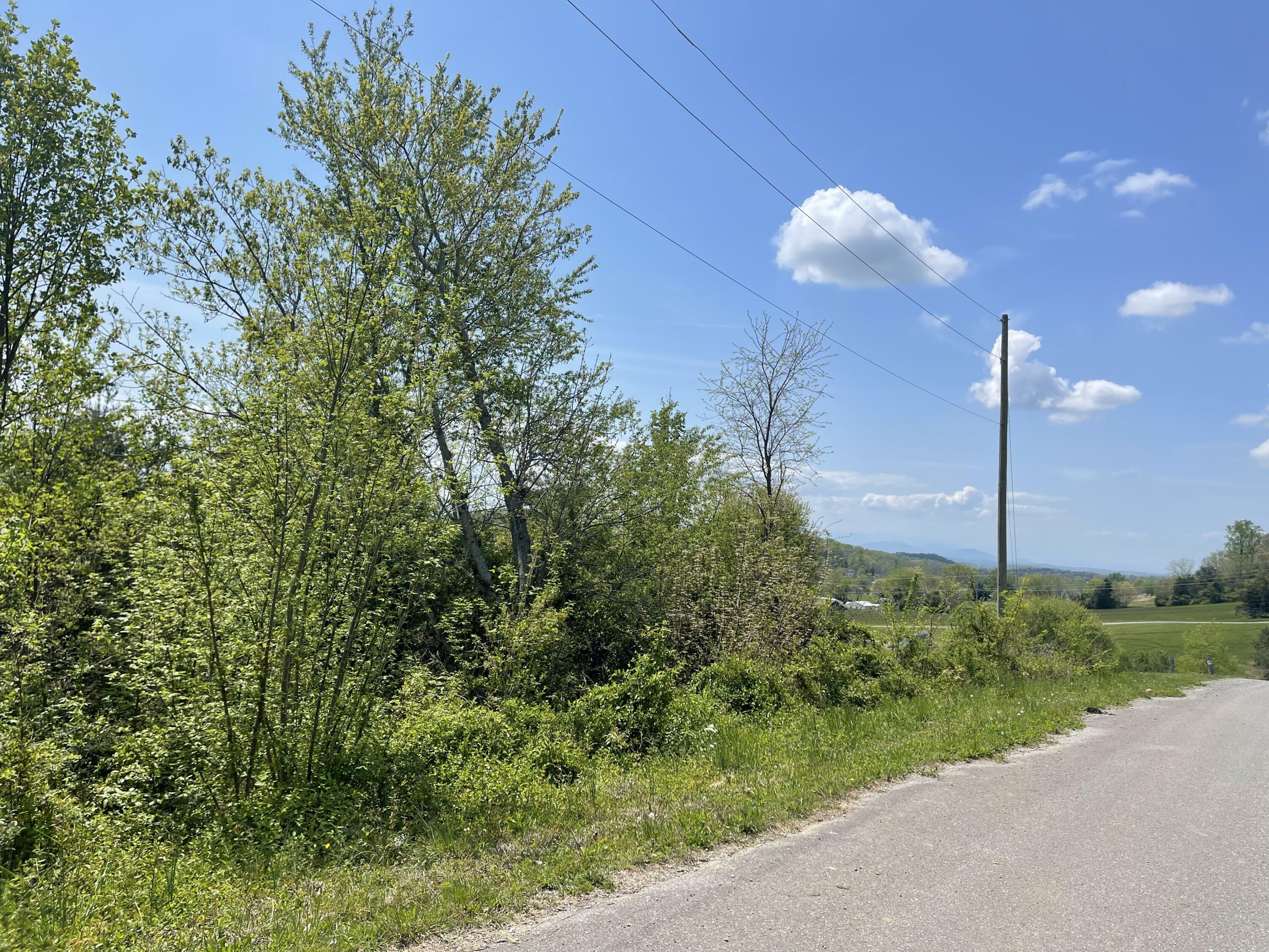 Property Photo:  .46acres Pelican Lane  TN 37743 