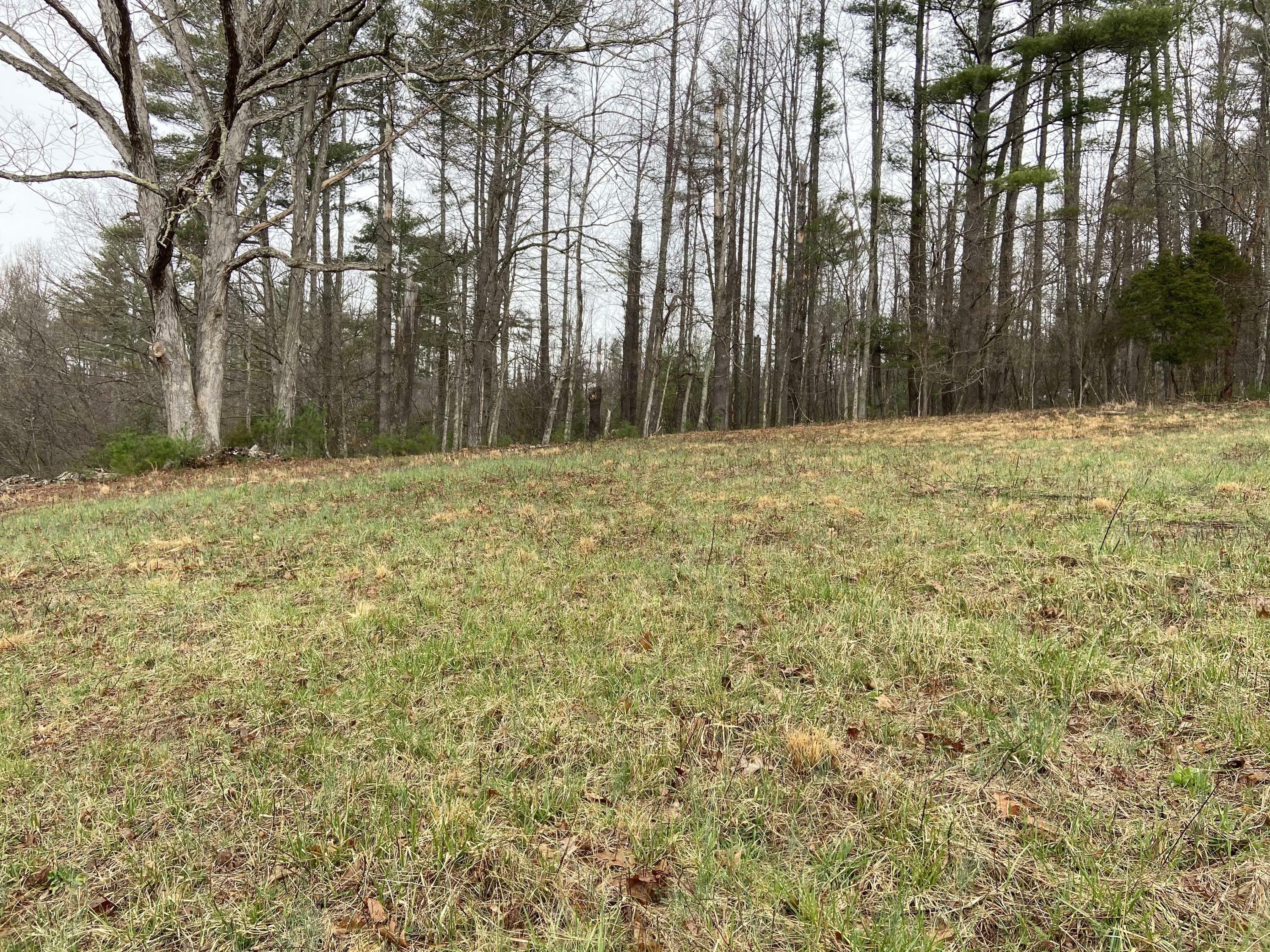 Property Photo:  4 Dugger Bridge Road  TN 37640 