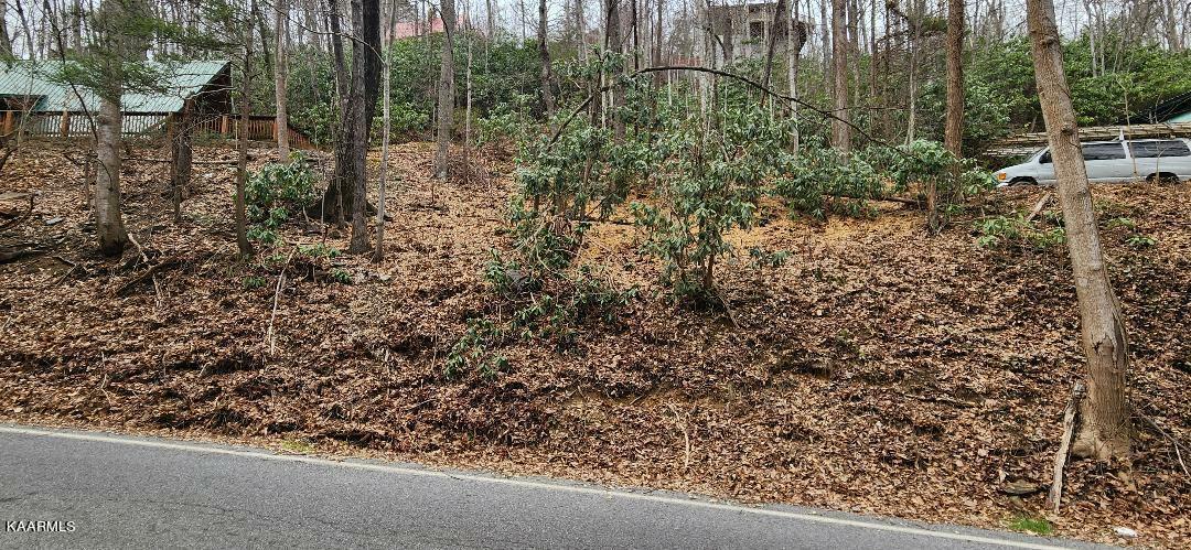 Property Photo: Lot 45 Ski Mountain Rd TN 37738