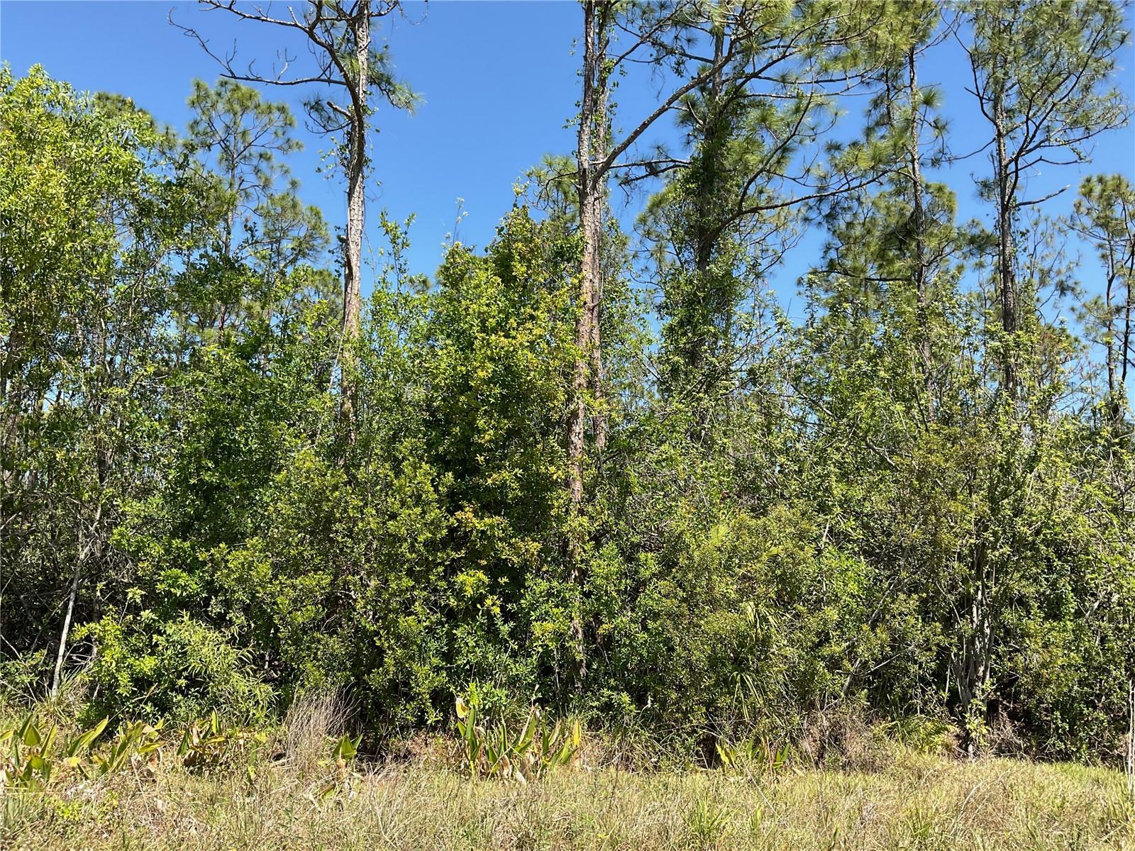 Property Photo:  39810 Little Farm Road  FL 33982 