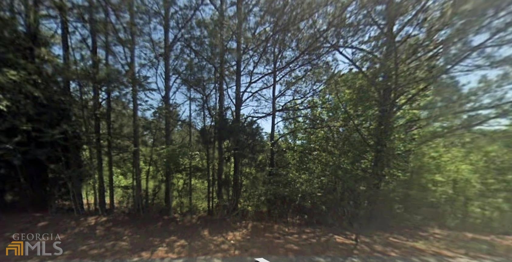 Property Photo:  0 Pullen Road  GA 30161 