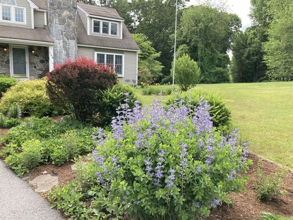 Property Photo: 135 Hosmer St MA 01749