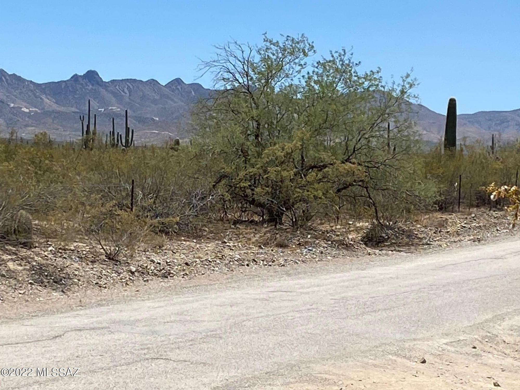 Property Photo: 7031 E Camino Del Toro 0 AZ 85629