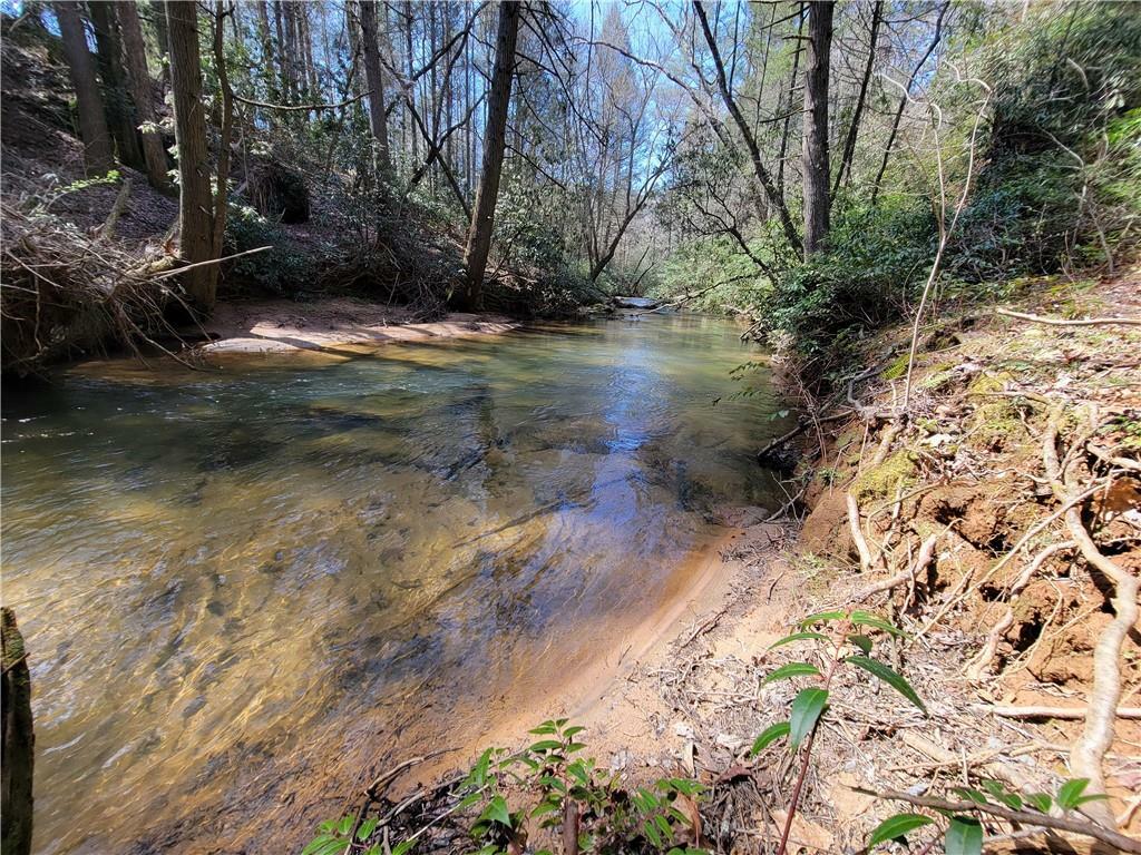 0 Mill Creek Trail  Cleveland GA 30528 photo