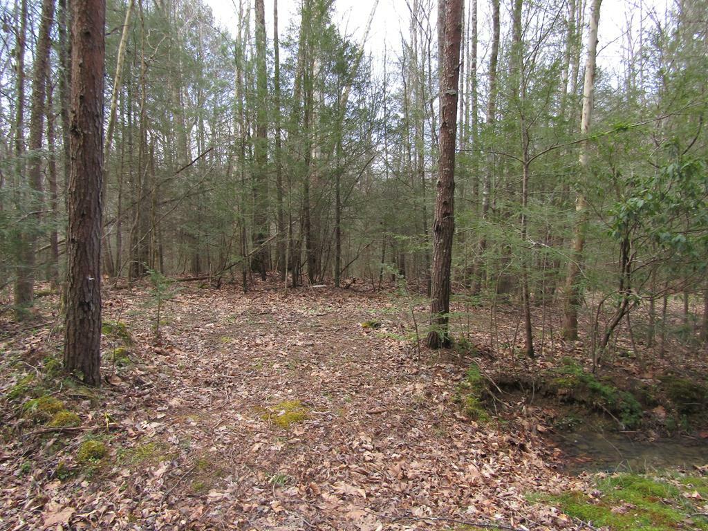 Property Photo:  70.34ac Old Hwy 63 N/S Annadell Road  TN 37847 