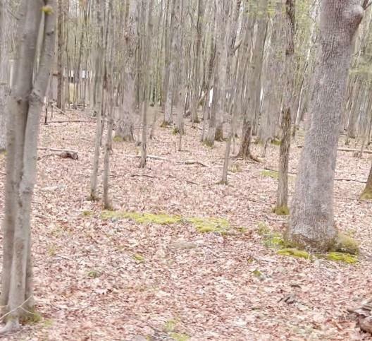 Property Photo: Tall Oak Road 408 PA 18210