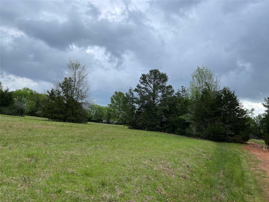 Property Photo:  Lot 19 Hunters Hollow  TX 75457 