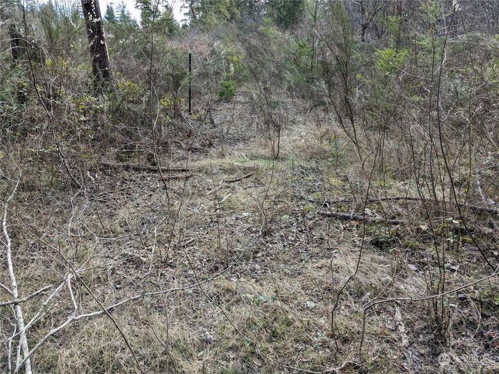 Property Photo:  0  196th Avenue NW  WA 98329 