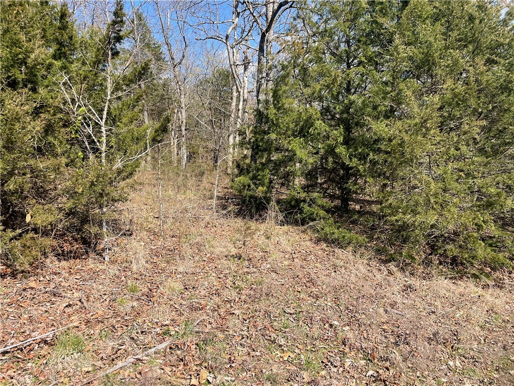 Property Photo:  18 North Star Loop  AR 72631 