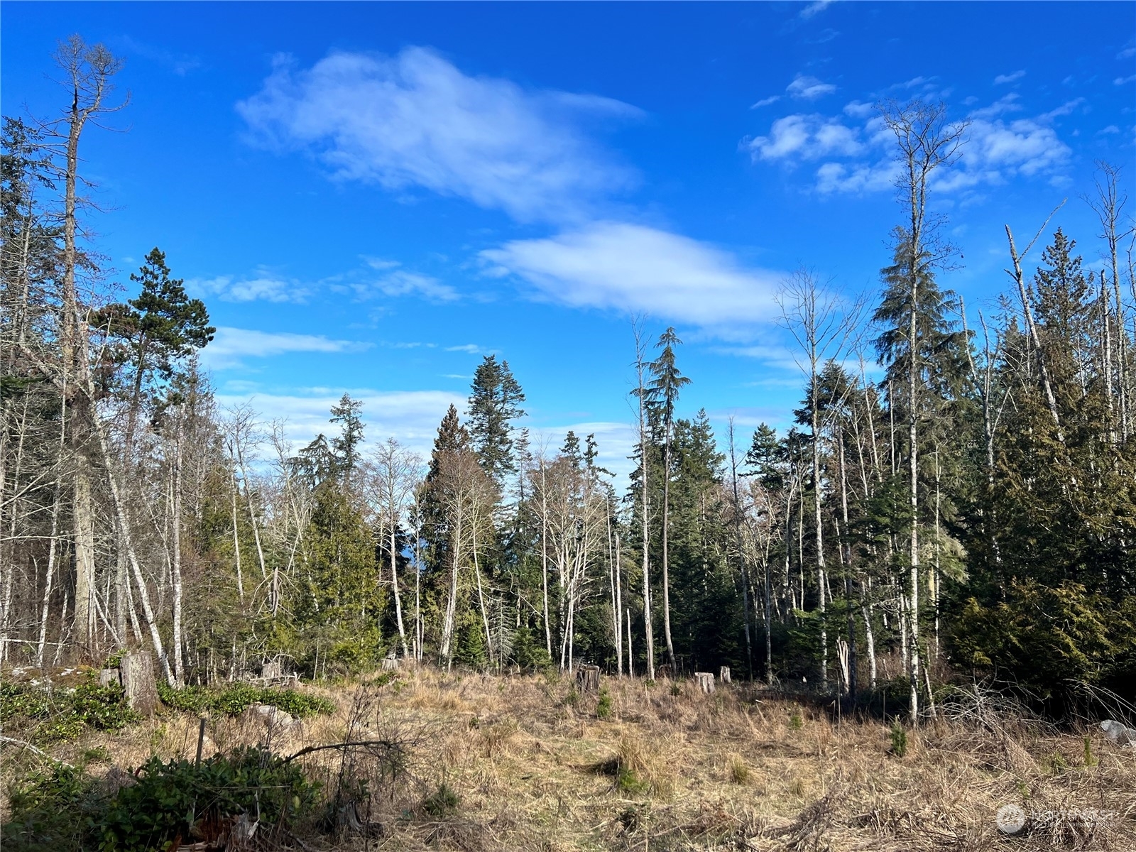 Property Photo: 99 Highlands Drive WA 98250