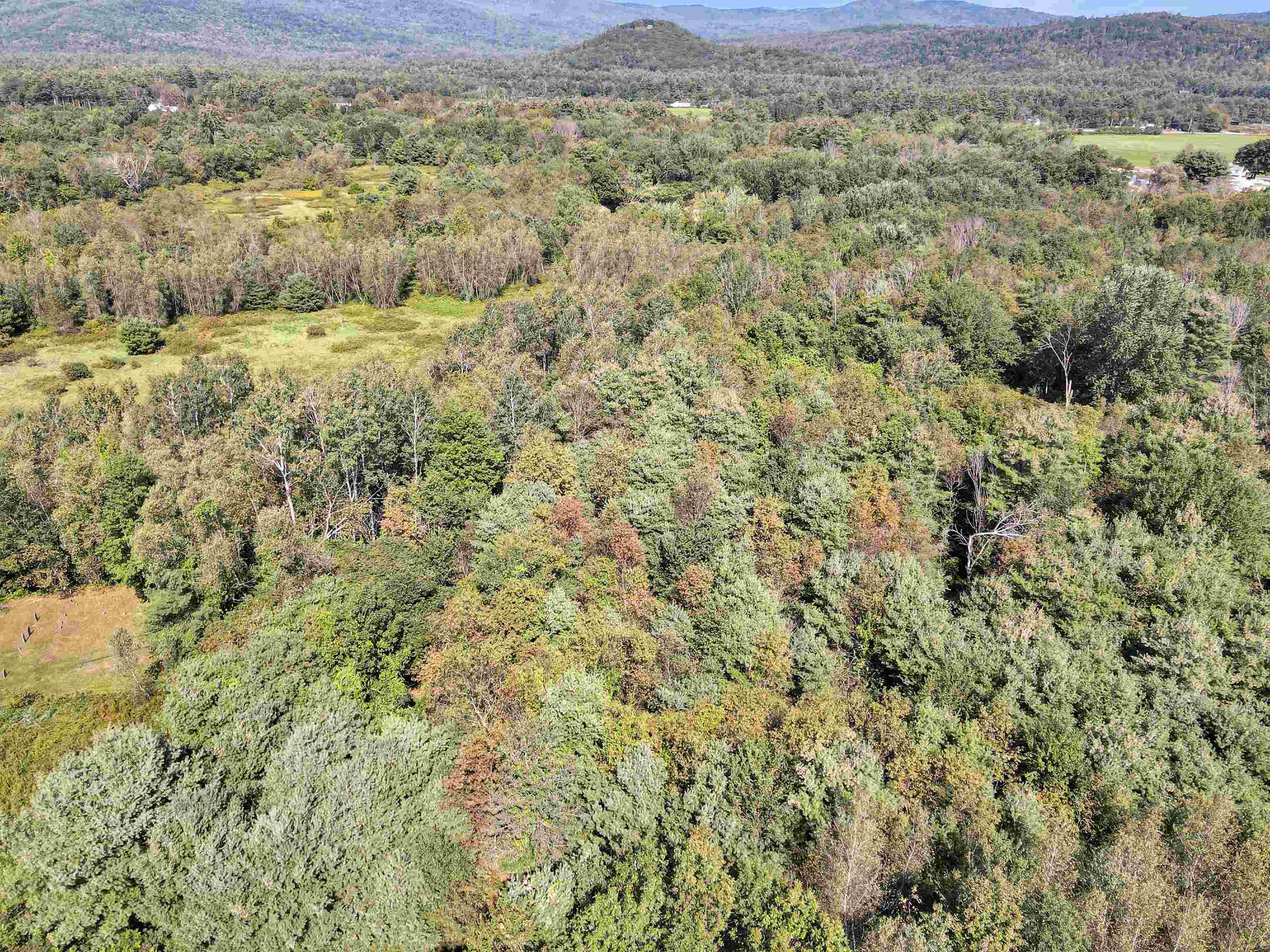 Property Photo:  213-034 Tenney Mountain Highway  NH 03264 
