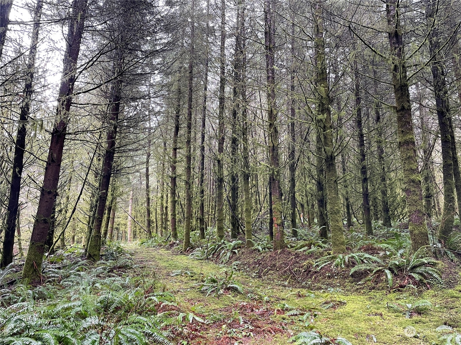 Property Photo: 0 Big Hanaford Road WA 98531