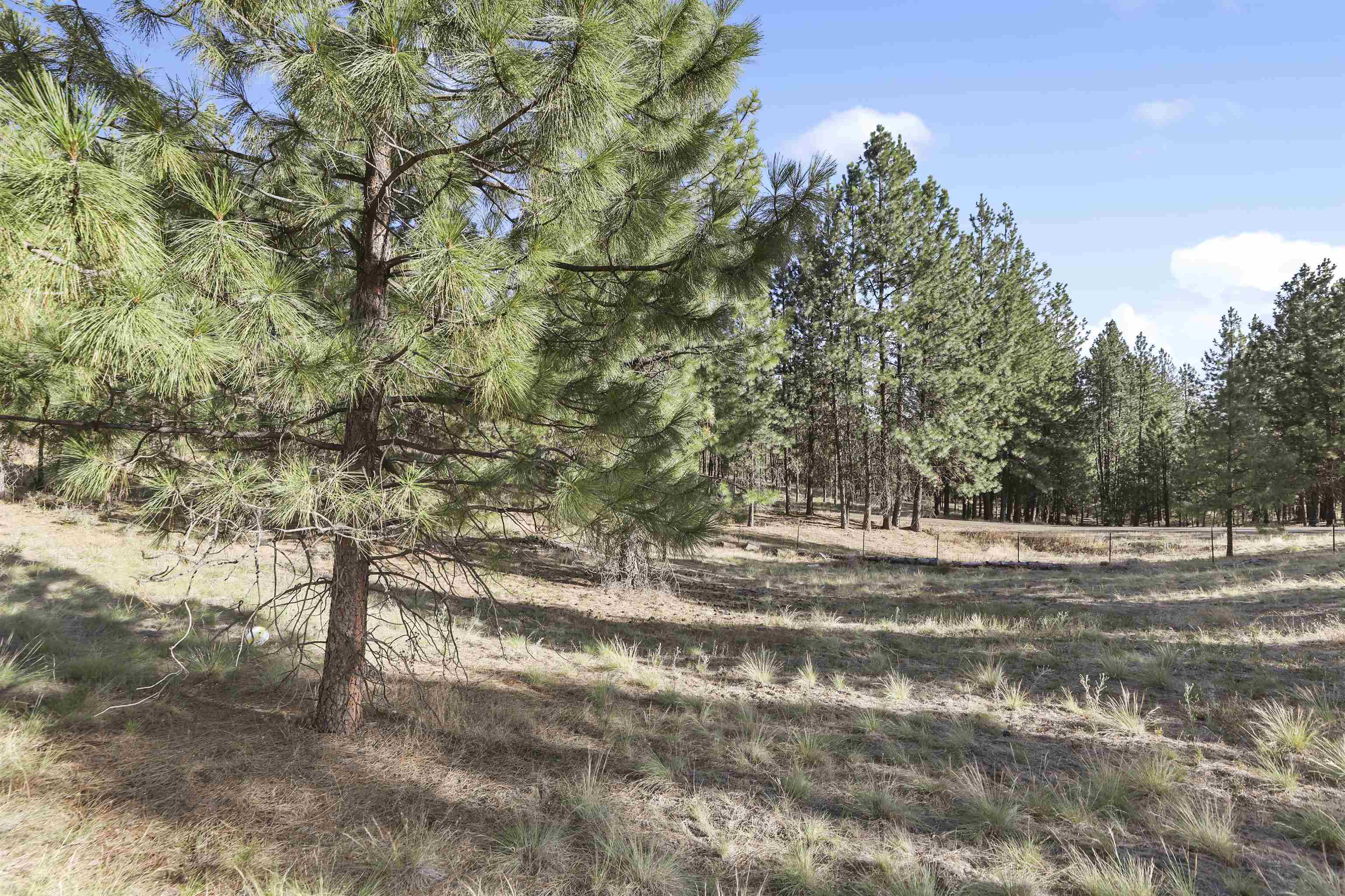 Property Photo: Lot 49 Westview Dr L14 B1 WA 99026