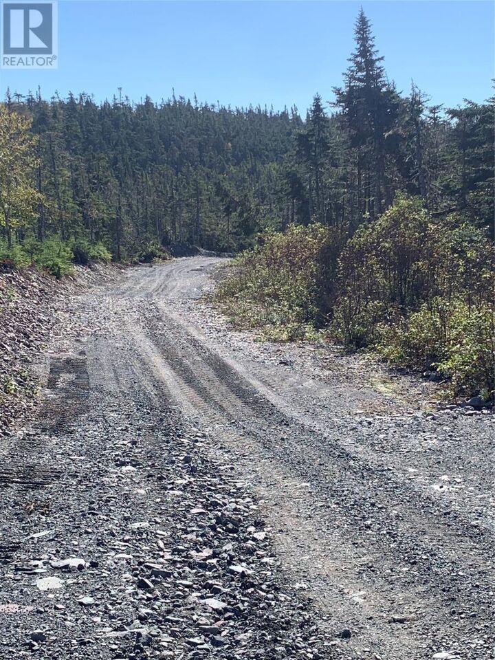Property Photo:  Lot 29 Halleran Trail  NL A0B 1G0 