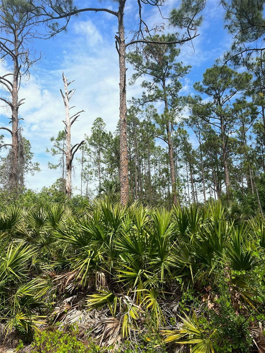 Property Photo: 2106 Moore Avenue FL 33920