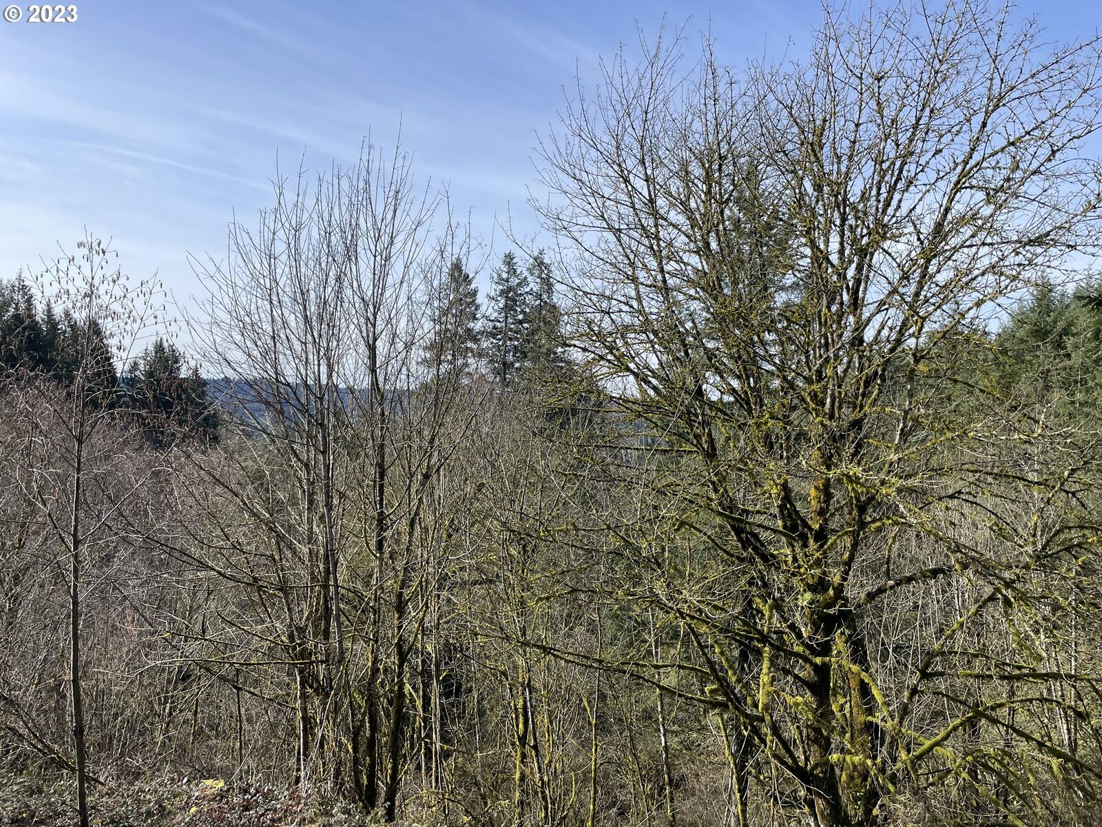 Property Photo: 254 Tangen Rd WA 98674