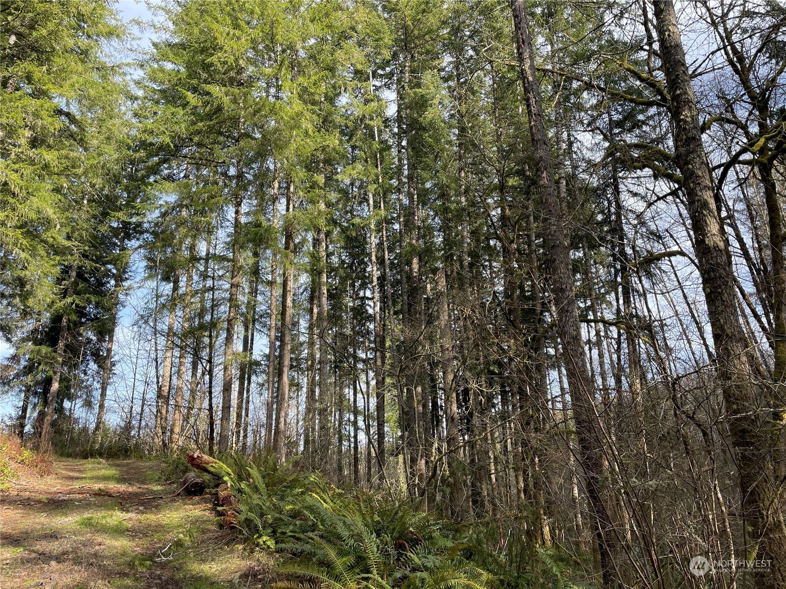 Property Photo:  0  Wiley Road  WA 98645 