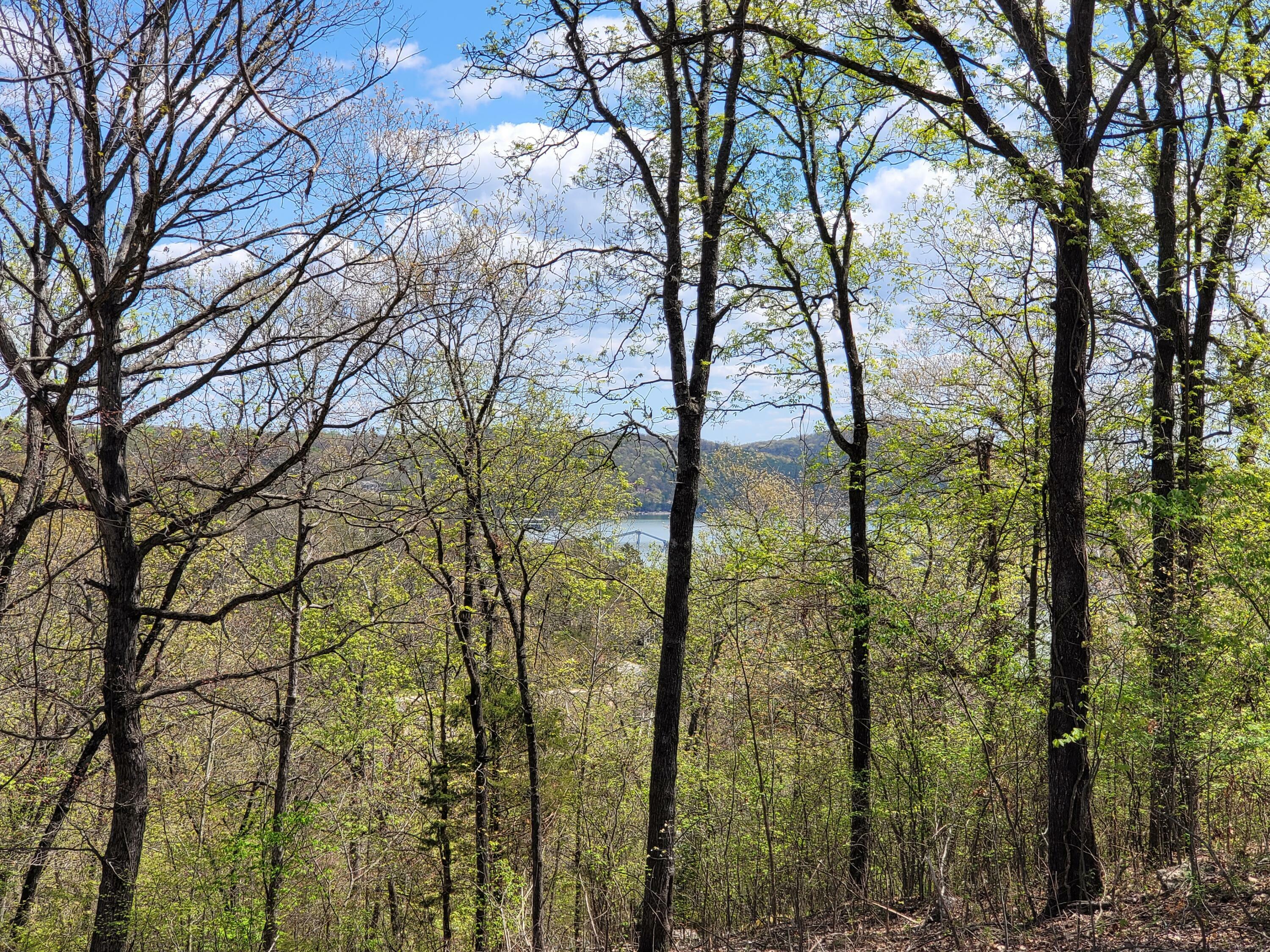 Property Photo:  Lot 18 The Bluffs  MO 65747 