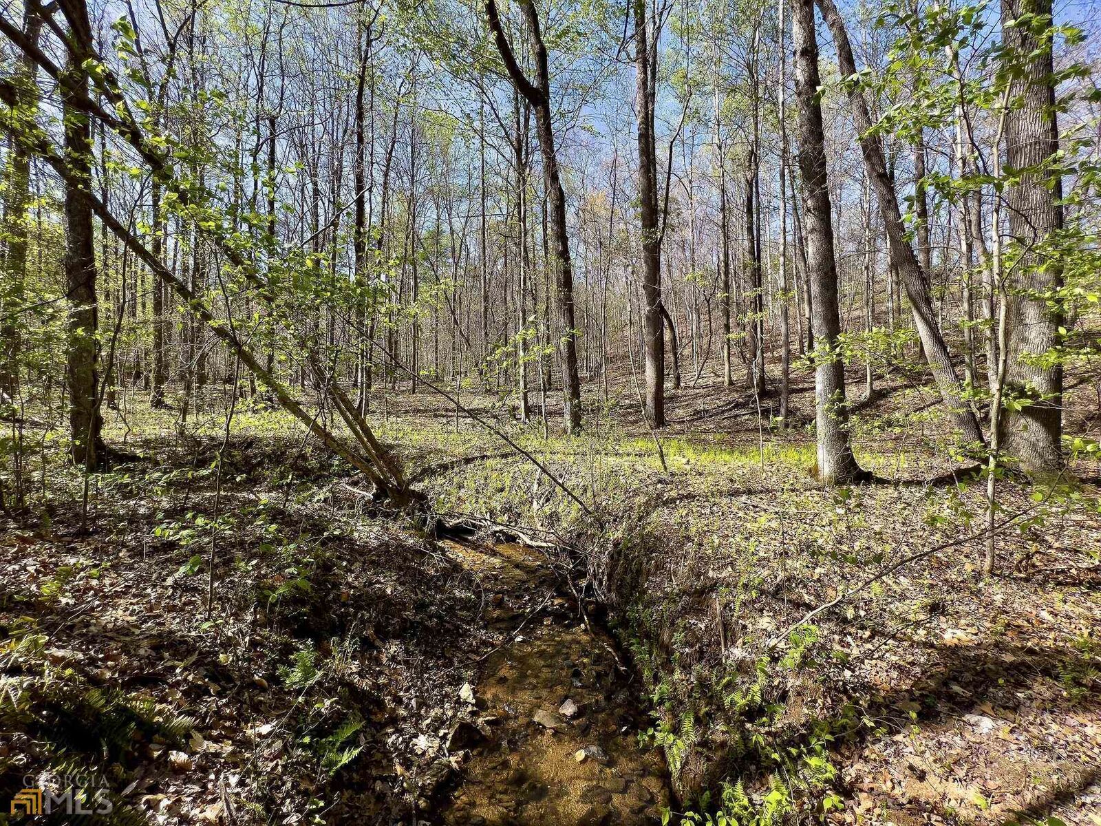 Property Photo:  0 Planters Creek Drive  GA 30511 