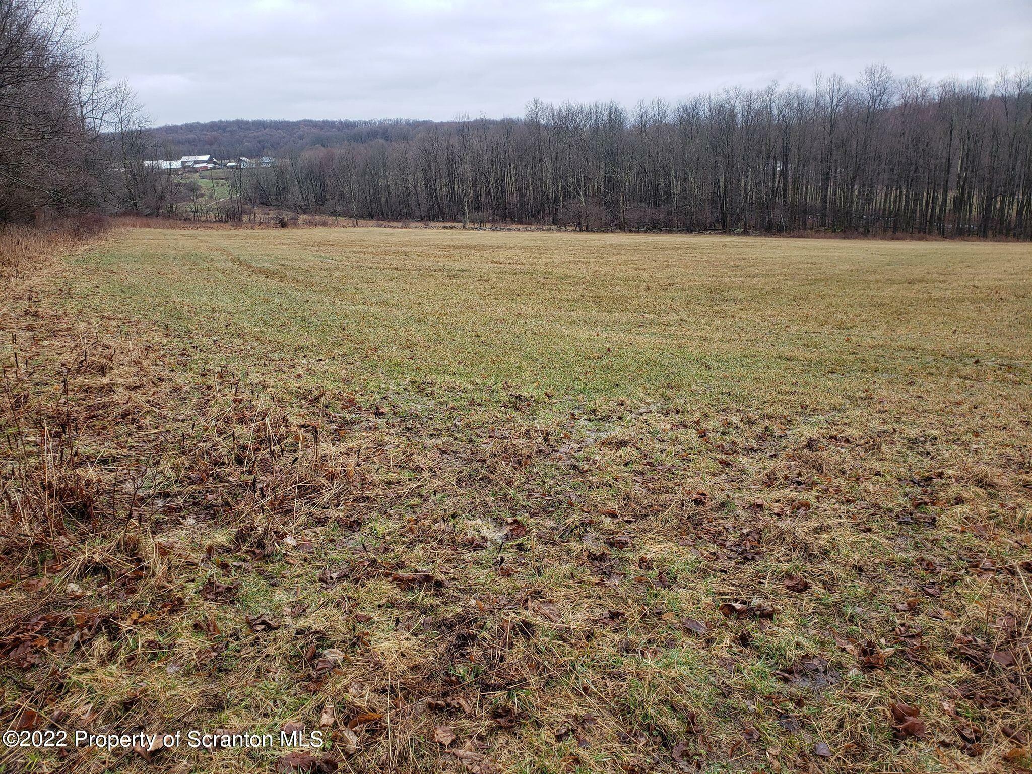 Property Photo:  00 State Route 1001  PA 18465 