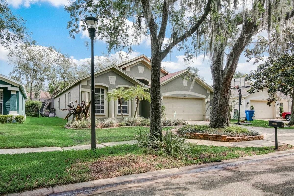 Property Photo:  15467 Martinmeadow Drive  FL 33547 