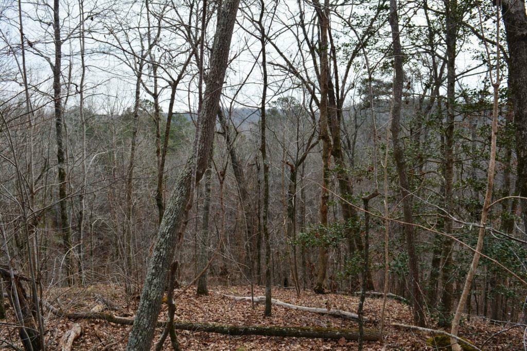 Property Photo:  0 Willow Springs Road  GA 30132 